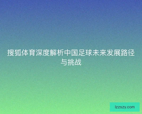 搜狐体育深度解析中国足球未来发展路径与挑战