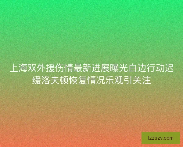 上海双外援伤情最新进展曝光白边行动迟缓洛夫顿恢复情况乐观引关注